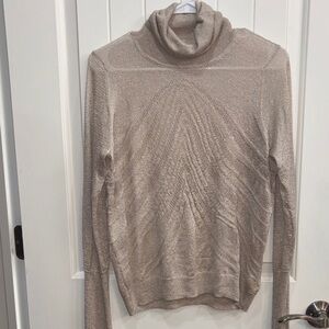 Angel Of The North Shimmering Delicate Cowl Neck Sweater